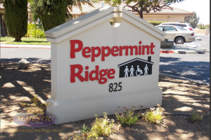 Monument Signs with Dimensional Lettering - Nonprofit Organization, Corona