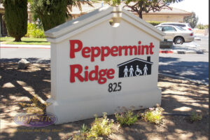 Monument Signs with Dimensional Lettering - Nonprofit Organization, Corona