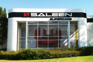 Saleen Wall Mural