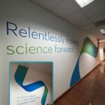 Custom Wall Murals Made by Majestic Sign Studio in Corona, CA