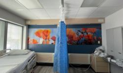 Hospital Room Wall Graphics In Corona - Majestic Sign Studio