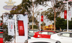 Larry H. Miller Toyota - Pole Banners